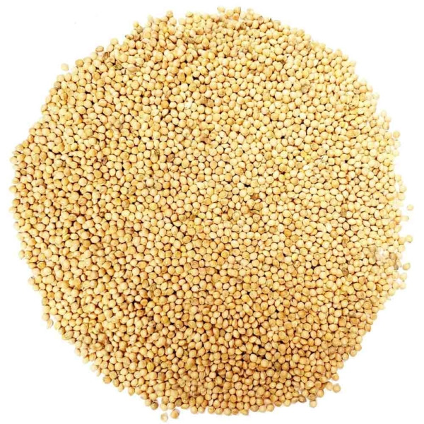 غذای پرندگان مدل ارزن خوش خوراک وزن 750 گرم