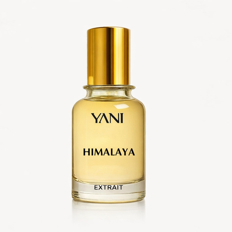 اکستریت دی پرفیوم مردانه عطر یانی مدل هیمالیا با رایحه خنک حجم 50 میلی لیتر