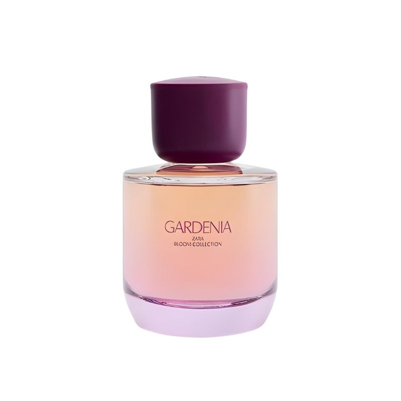 ادوپرفیوم زنانه زارا مدل Gardenia با رایحه گرم حجم 90 میلی‌لیتر