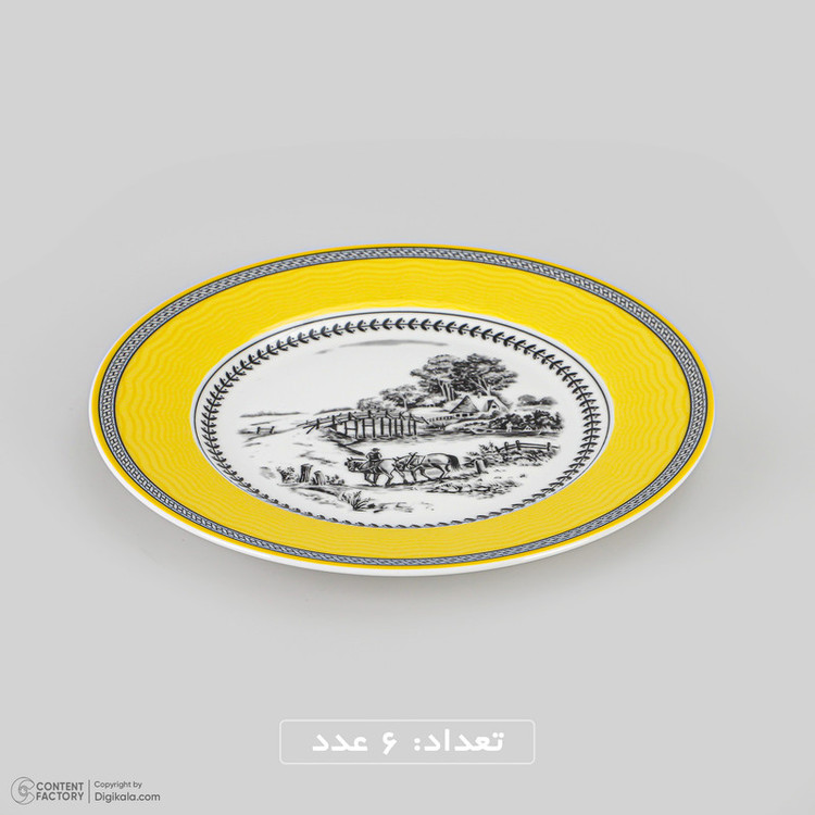 سرویس غذاخوری 28 پارچه 6 نفر چینی زرین ایران مدل ایتالیا ویلیج درجه عالی