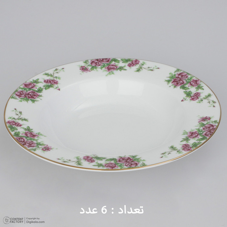سرویس غذاخوری 28 پارچه چینی زرین ایران سری ایتالیا اف مدل Bidgol درجه یک