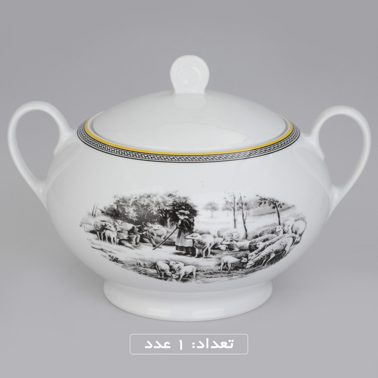 سرویس چینی 102 پارچه غذا خوری چینی زرین ایران سری ایتالیا اف مدل ویلیج درجه یک