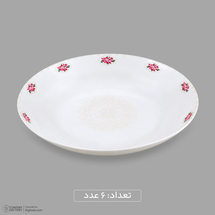 سرویس غذاخوری اوپال 26 پارچه 6 نفره دینو مدل گرد کلاسیک ورژن 3 لوستر کد 139