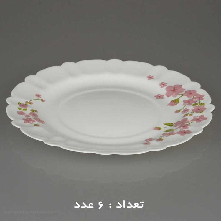 سرویس 25 پارچه اپال طرح دایره مدل اما کنگره
