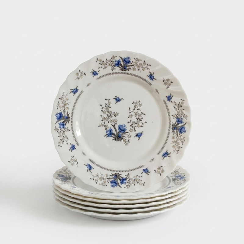 پیش دستی پارس اُپال مدل M120 بسته 6 عددی