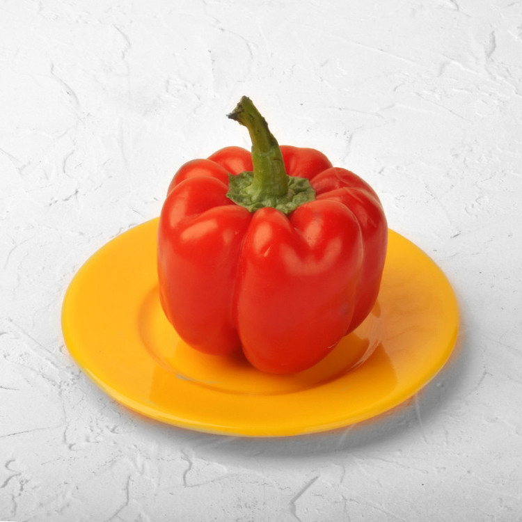 پیش دستی مدل T-4120