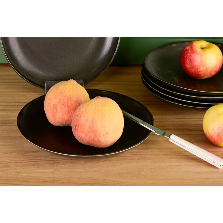بشقاب بی وی کی مدل OLEN کد 455408 مجموعه 6 عددی
