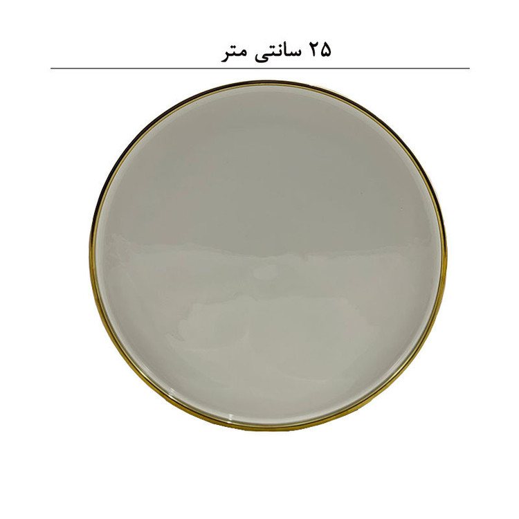 بشقاب غذاخوری مدل line plate
