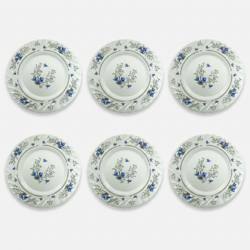 پلوخوری پارس اپال طرح رمانتیک120 بسته 6 عددی
