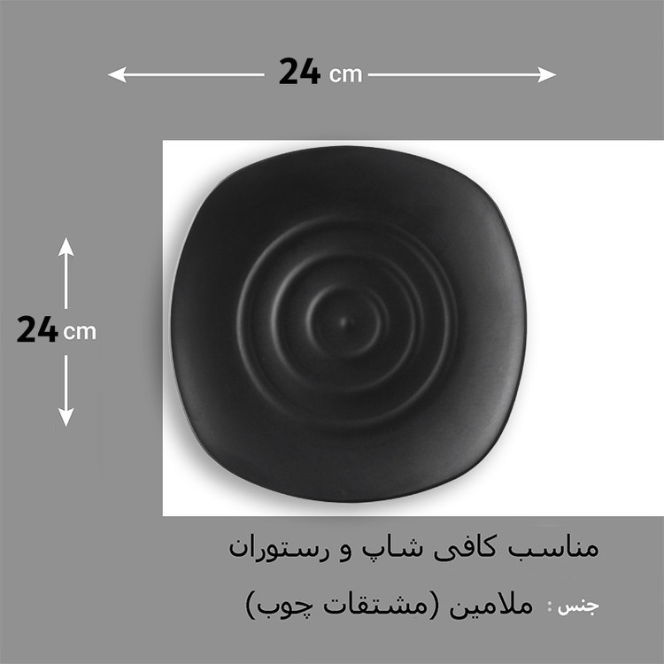 بشقاب غذاخوری لرد مدل PS25025