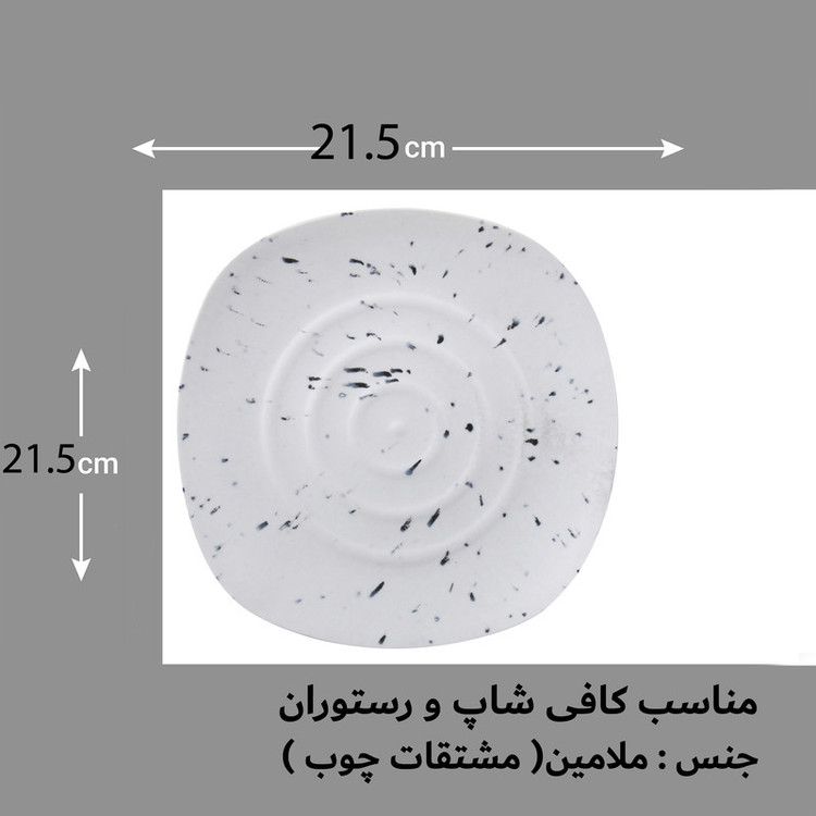 بشقاب غذا خوری مدل PS220-25