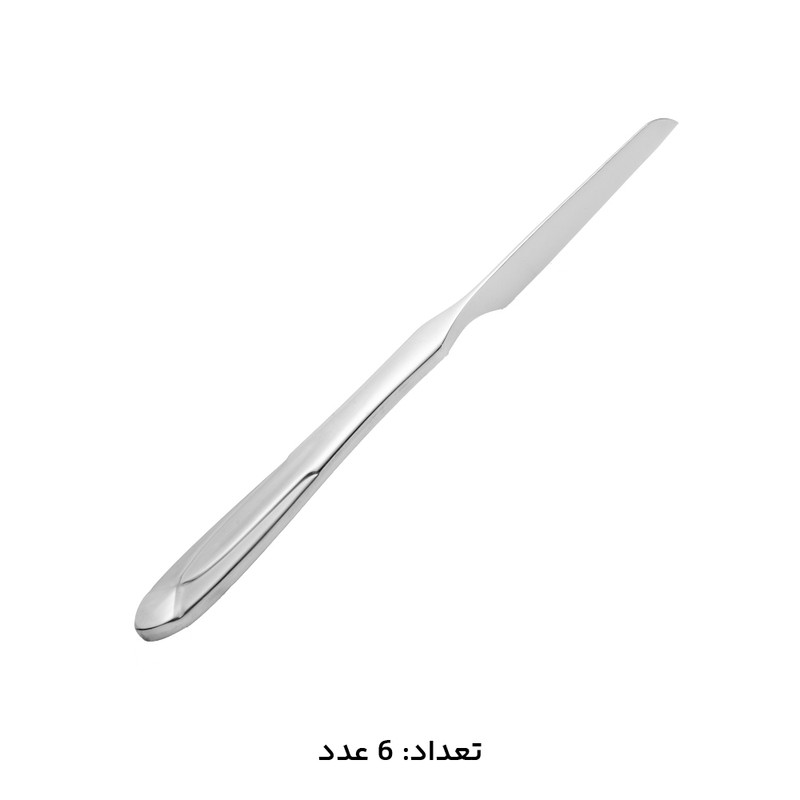 سرویس کارد و چنگال 12 پارچه 6 نفره ام جی اس مدل DF020