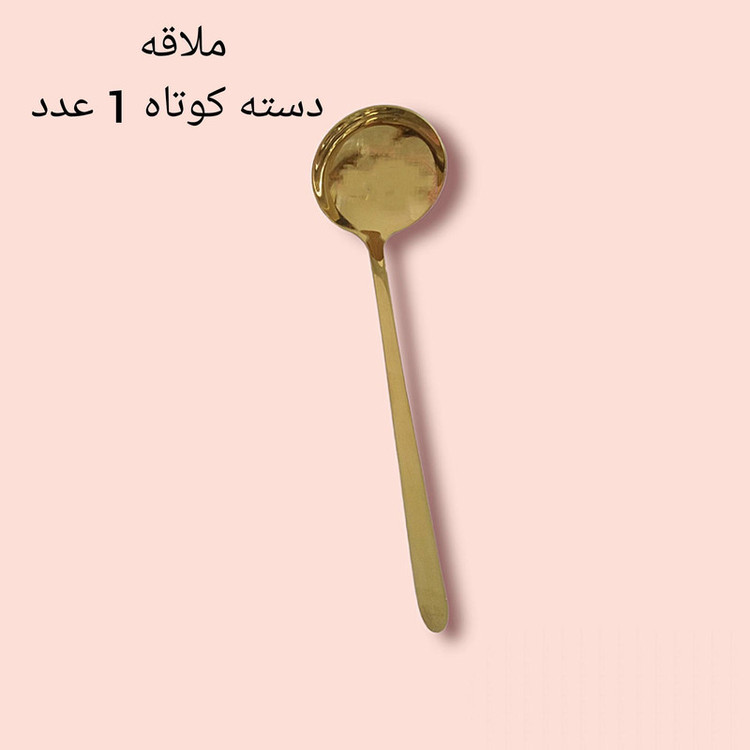 سرویس قاشق و چنگال 60 پارچه مدل دونا کد 351