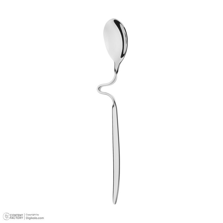 سرویس قاشق و چنگال 155 پارچه 24 نفره راشن باخ مدل 341