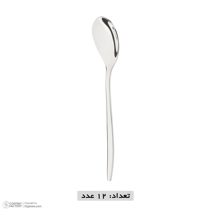 سرویس قاشق و چنگال 155 پارچه 24 نفره راشن باخ مدل 341