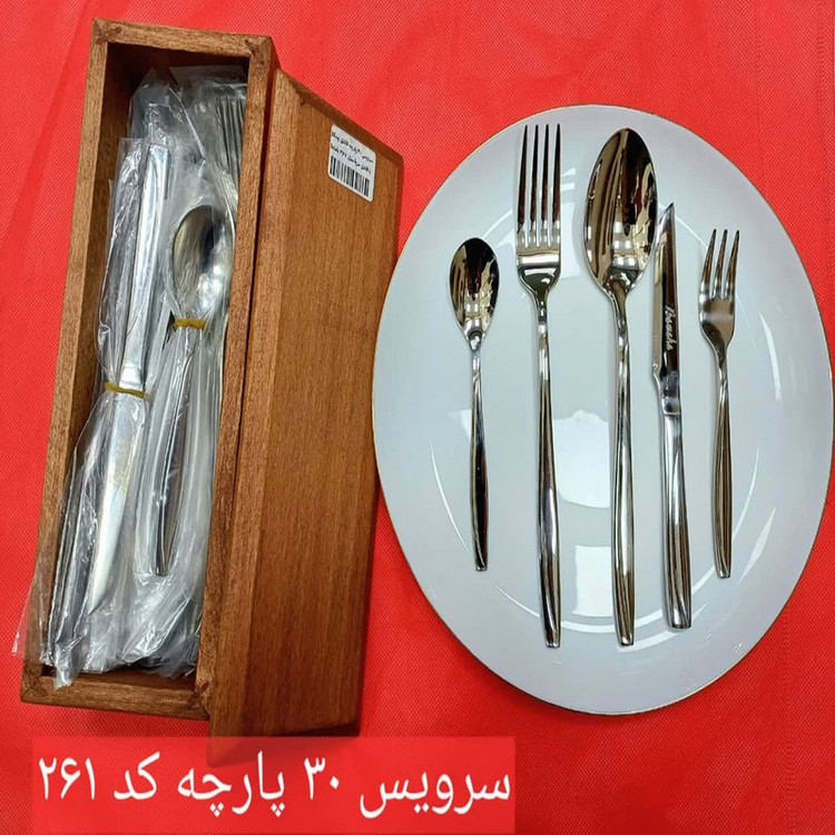سرویس قاشق و چنگال 30 پارچه 6 نفره باماها مدل 261 ماینز