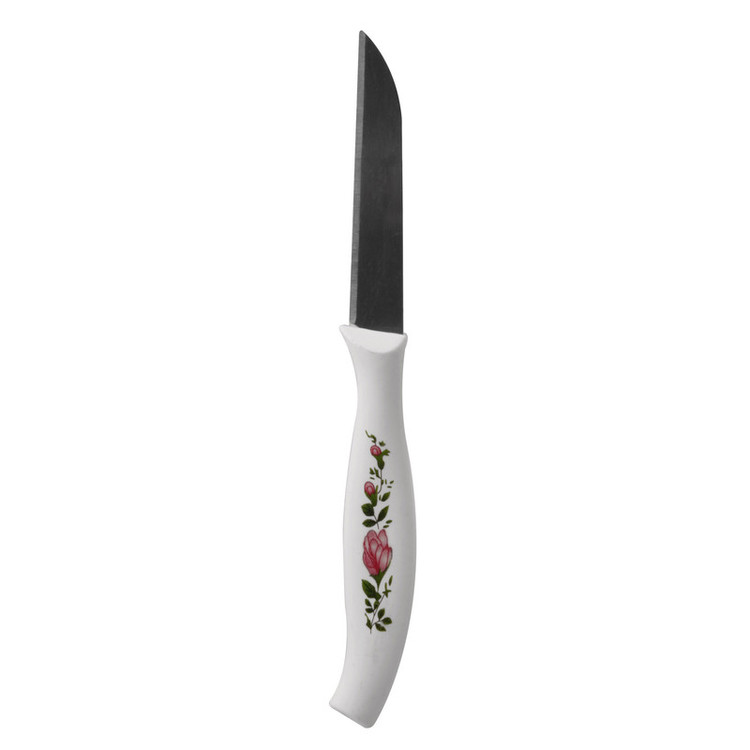 کارد میوه خوری مدل RS-28 بسته 6 عددی