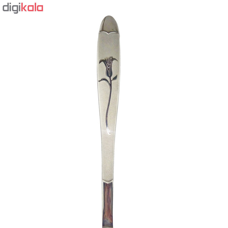 قاشق اجیل خوری نیوهوم کد 0860