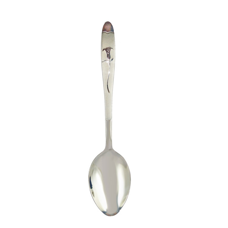 قاشق اجیل خوری نیوهوم کد 0860