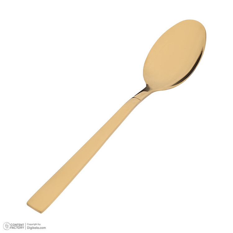 قاشق مربا خوری 6 پارچه مدل شیکاگو کد 044